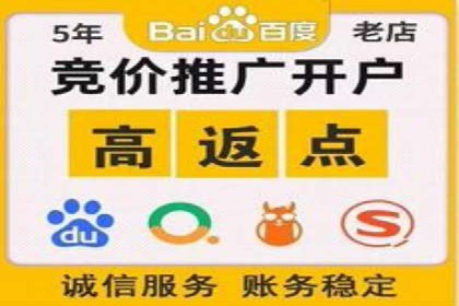 竞价推广实战：成功案例背后的技巧揭秘